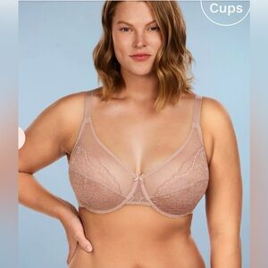 HSIA pink Enchante lace sheer full coverage minimizer underwire bra size 42G
